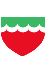 Logo Carouge Natation